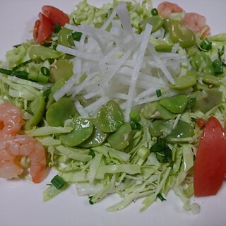 小海老と夏野菜サラダ